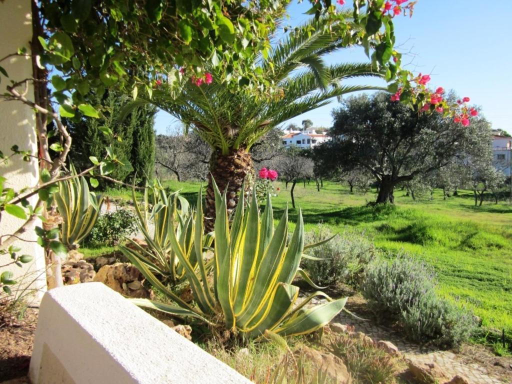 Quinta Mimosa Hotel Loulé Habitación foto